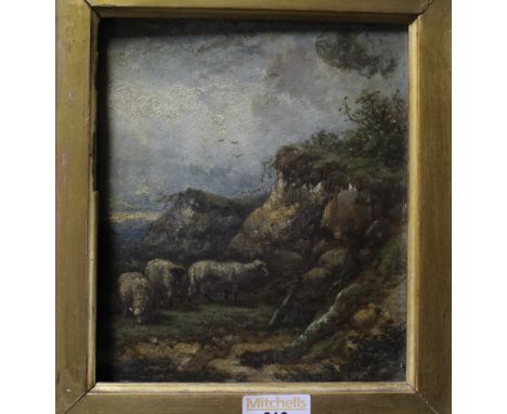 A 19th century oil on board, "Sheep on a Rocky Outcrop" unsigned, within an ornate moulded gilt gesso frame, 16 cm x 19 cm.  