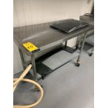 Stainless Steel Table, 4' X 30" X 36" (Required Loading Fee: $15.00) NO HAND CARRY (Price Is For