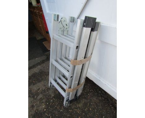 Folding alloy ladder 