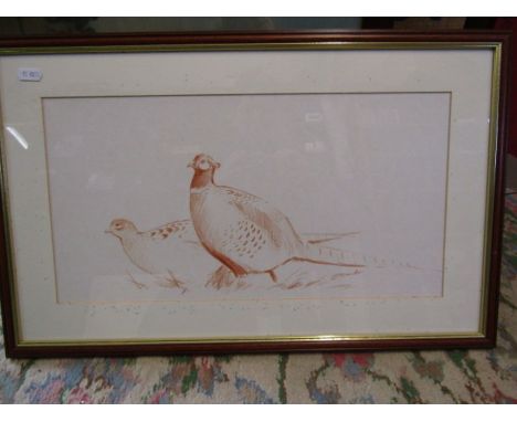 Simon Trinder original red pencil sketch of a pheasant pair 58x36cm