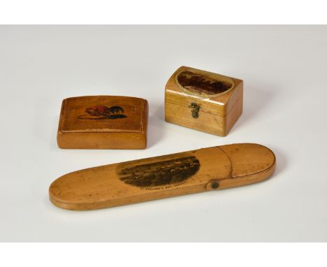 Mauchline ware - ring box, snuff box, spectacles case the ring box of chest form with transfer printed view of Edinburgh Nati