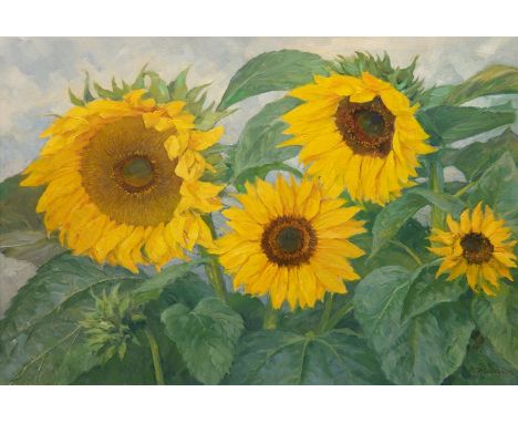 Rundspaden, K. "Sonnenblumen", Öl/ Hartfaser, sign. u.r. und dat. 1961, 58x80 cm, Rahmen