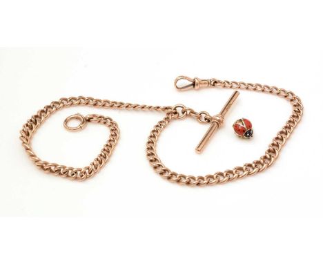 A 9ct yellow gold Albert chain, of curb links with clasps and T-bar; with a yellow metal and enamel charm of ladybird form, b
