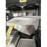 LOT: (5) Bacs Alimentaires, 16'' x 21''