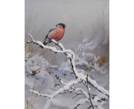David Reid-Henry (1919-1977) Bullfinch on a Snowy Branch, signed lower right, watercolour and gouache, 25 x 20 cm, frame 51 x