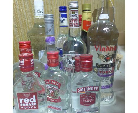 A collection of white spirits, to include Anis las Cadenas de Finisimo Paladar, 1 litre,; 1 bottle of Vladivar Gold Imperial 