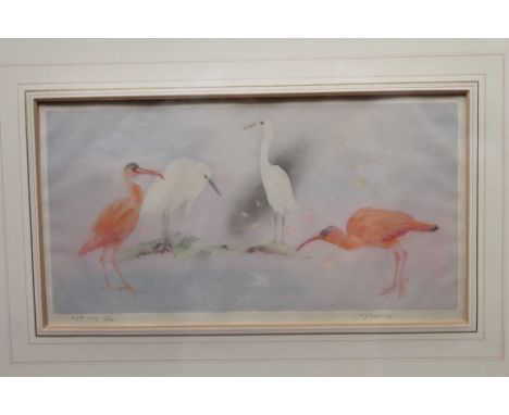 Edward Julius Detmold (1883 - 1957), signed coloured etching - Cranes, numbered 15 / 30, in glazed gilt frame, 16cm x 29.5cm