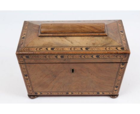 George IV parquetry banded walnut tea caddy of sarcophagus form, with two lidded compartments, on bun feet, 23cm wide