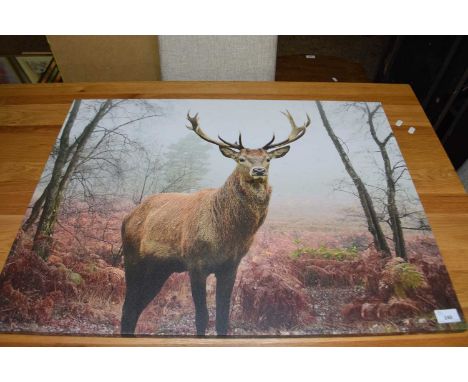 Modern coloured illuminated print of a stag