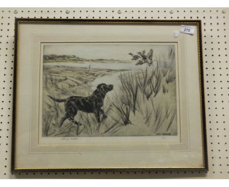 AFTER HENRY WILKINSON - three coloured etchings; "Black Labrador in profile", limited edition No'd. 1/150, signed in pencil l