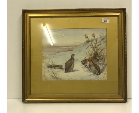 J HAMMOND HARWOOD "English Grey Legged Partridge in Snow", watercolour heightened with white, signed lower left, 27 cm x 34 c