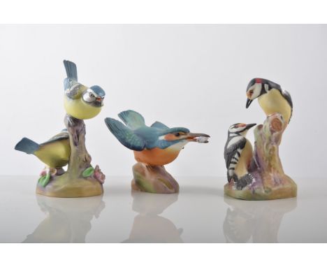 Collection of Royal Worcester matt finish birds, Goldcrest, Great Tit, Blue Tits, Pied Woodpeckers, etc, (22)