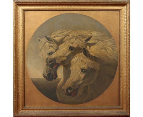 Nineteenth century Italian school. A pair of gilt framed oils on canvas, roundel portrait groups, each of three Lipizzan stal
