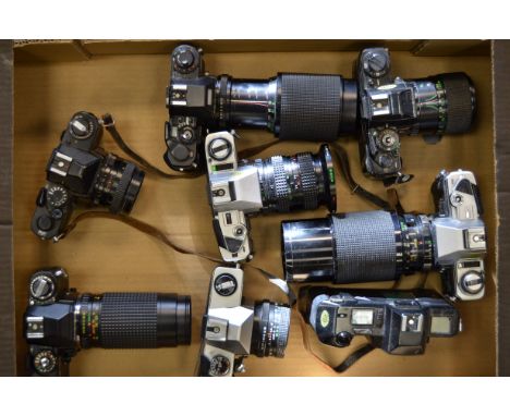 A Tray of Chinon and Minolta SLR Cameras, including Chinon CE-4s, Chinon CM-3, Minolta X-300 (2 examples), Minolta X-700, tog