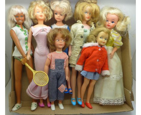 Sindy's sister Patch, Tammy's sister Pepper, Dusty, two hard-head Sindys and two vintage Tressys, (7 dolls) 
