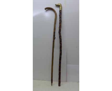 A walking stick and a walking cane with brass dog's head 