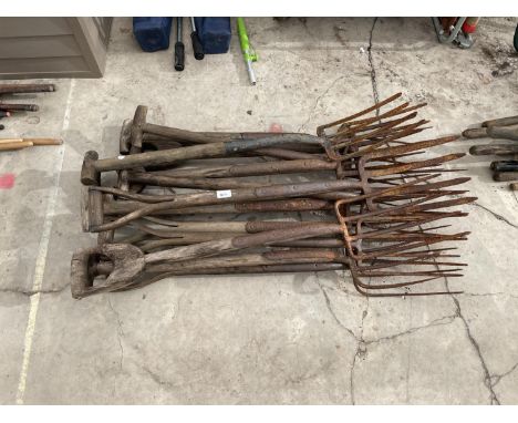 A LARGE QUANTITY OF VINTAGE GARDEN FORKS 