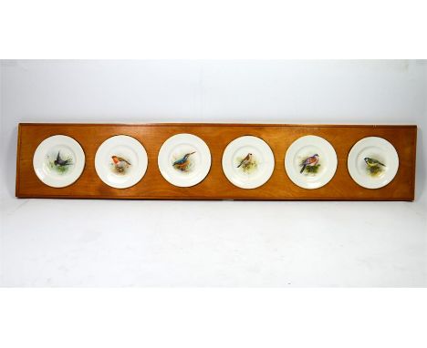 A set of six Royal Worcester bone china plates each decorated with English birds possibly by W. Powell set in a wooden frame,