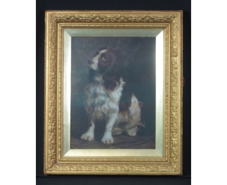 BRITISH SCHOOL (attributed to Maude Earl 1864-1943), study of a liver and white springer spaniel, watercolours. 44 x 33cm app