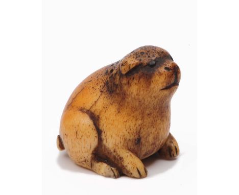 A Japanese ivory netsuke late Meiji in the form of a crouching dog