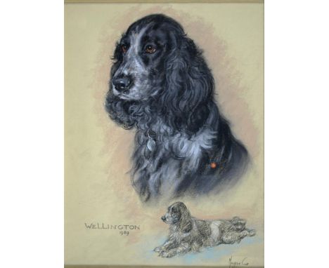 MARJORIE COX, PORTRAIT OF "WELLINGTON" A FAVOURITE COCKER SPANIEL, SIGNED AND DATED 1989, PASTEL, 48 X 36CM, A LATER PAINTING