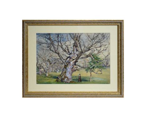 George James Howard, 9th Earl of Carlisle (1843-1911)"Oak Tree at Ampthill [Park House, Berkshire]",titled verso,watercolour 
