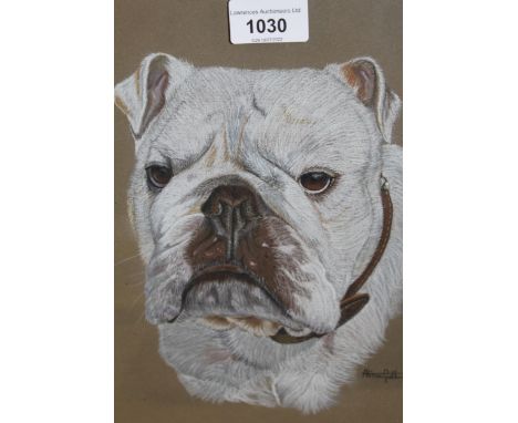 Alison Guthrie, pastel drawing, portrait of a bulldog, signed, 10ins x 9ins approximately, framed 