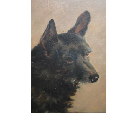19th Century oil on millboard, portrait of a dog, gilt framed, 10.5ins x 8ins 