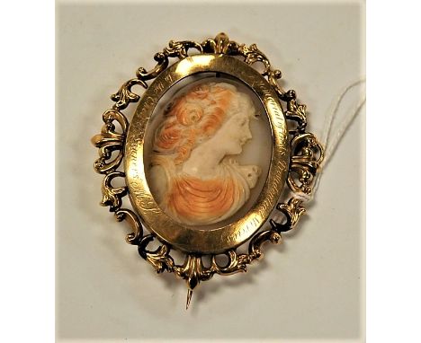 A Victorian shell carved cameo brooch, carved as a female portrait in profile, housed in a yellow metal openwork surround, wi
