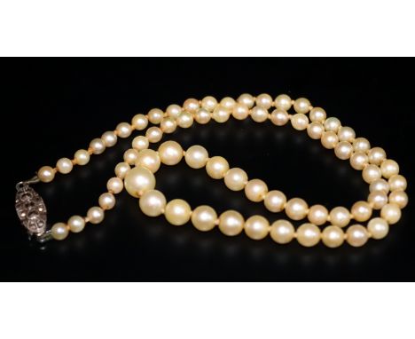 Boxed Pearl Necklace With Silver Lotus Clasp 