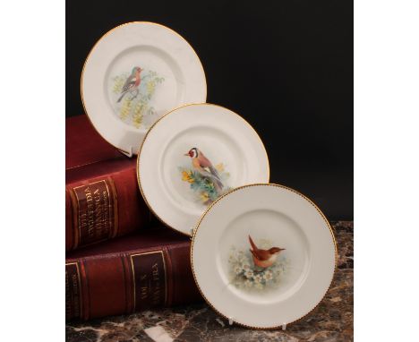 A set of three Royal Worcester tea plates, painted by W. Powell, signed, with named birds, Goldfinch, Chaffinch and Wren, 15.