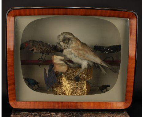 Taxidermy - a diorama in a 1960s TV cabinet, bespectacled Owl reading a book; other smaller birds 