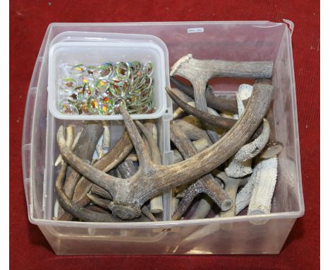 A box and contents of assorted deer antlers and stick making decorations etc.