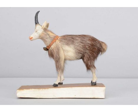 A mid 19th century composition and skin goat squeak toy,  with grey painted face, black horns, skin body with wooden legs, le