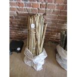 Quantity of canes