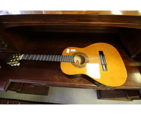 Stagg Guitar