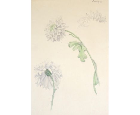Gerald French (1927-2001) Study of a Chrysanthemum Signed and dated (19)46, pencil and watercolour, unframed, together with a