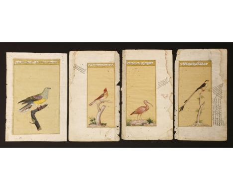 Six manuscript illustrations of birds,mid-19th century, including two quail and an ibis, andthree further smaller watercolour