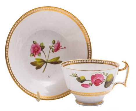 A Spode botanical tea cup and saucer: the cup of London shape, painted with flower sprays within beaded gilt borders, iron-re