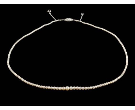 A graduated pearl, single-string necklace: the pearls graduate from 1.3mm to 4.9mm diameter, on diamond-set clasp, approximat