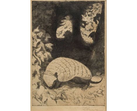 * Zdzislaw Ruszkowski [1907-1990]-Armadillo, etching,:- signed in pencilimage size 20 x 13.5cm.