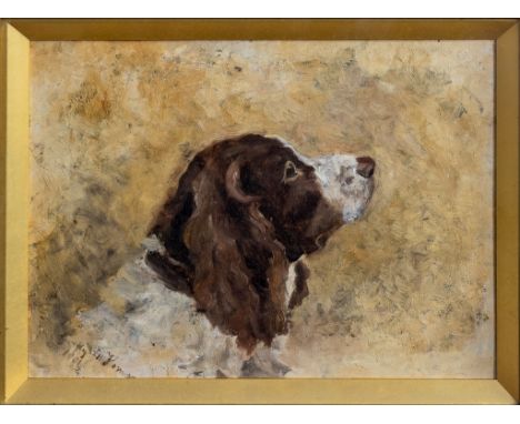 Gwyneth Henry (British, early 20th century), Portrait of a springer spaniel oil on canvas, signed indistinctly and dated 1901