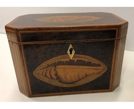 A late George III burr yew veneered and shell marquetry medallion inlaid tea caddy of rectangular form with canted corners op