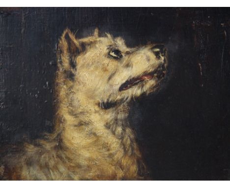 Manner of Sir Edwin Landseer (British, 1802-1873),Study of a terrier,Oil on panel,Unsigned, title plaque faintly engraved "Is