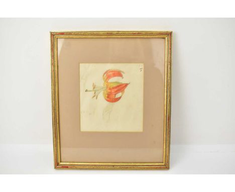 † MAXWELL ASHBY ARMFIELD RWS (British, 1882-1972); watercolour and pencil, 'Tiger Lily', titled, dated 6.7.61 and attributed 