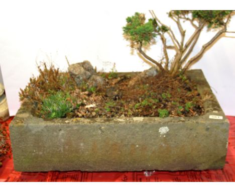 Reclamation and garden interest. An early Sandstone animal trough with established plants, 66 x 48 x 16cm.