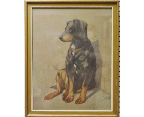 English School (mid-20th century)Waiting Patiently, Portrait of a Dogwatercolour, 38.5cm x 29.5cm