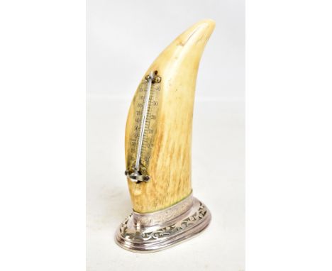 An early 20th century whale tooth desk thermometer raised on a pierced silver plated stand, height 19cm.Additional Informatio