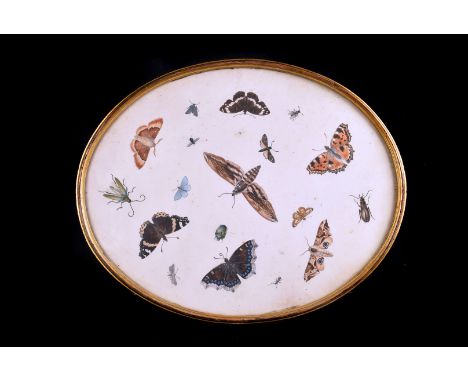A William IV butterfly and insect decorated pole screen,  in mahogany with lead weighted base and brass finial top, the scree