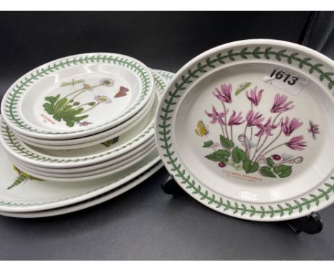 Four Portmeirion dinner plates, four side plates an two oval dishes, 12" diameter